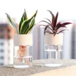 kf-S00240c8d94734f9fabda6c020529d9b3x-Mini-Hydroponic-Flower-Pot-Home-Vase-Decor-Transparent-Imitation-Glass-Soilless-Plant-Pots-Green-Plants-Pot