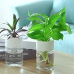 kf-S00240c8d94734f9fabda6c020529d9b3x-Mini-Hydroponic-Flower-Pot-Home-Vase-Decor-Transparent-Imitation-Glass-Soilless-Plant-Pots-Green-Plants-Pot